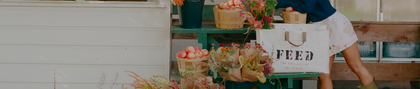 The Market Collection